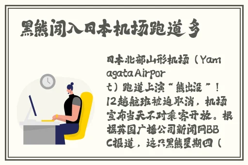 黑级机甲战力